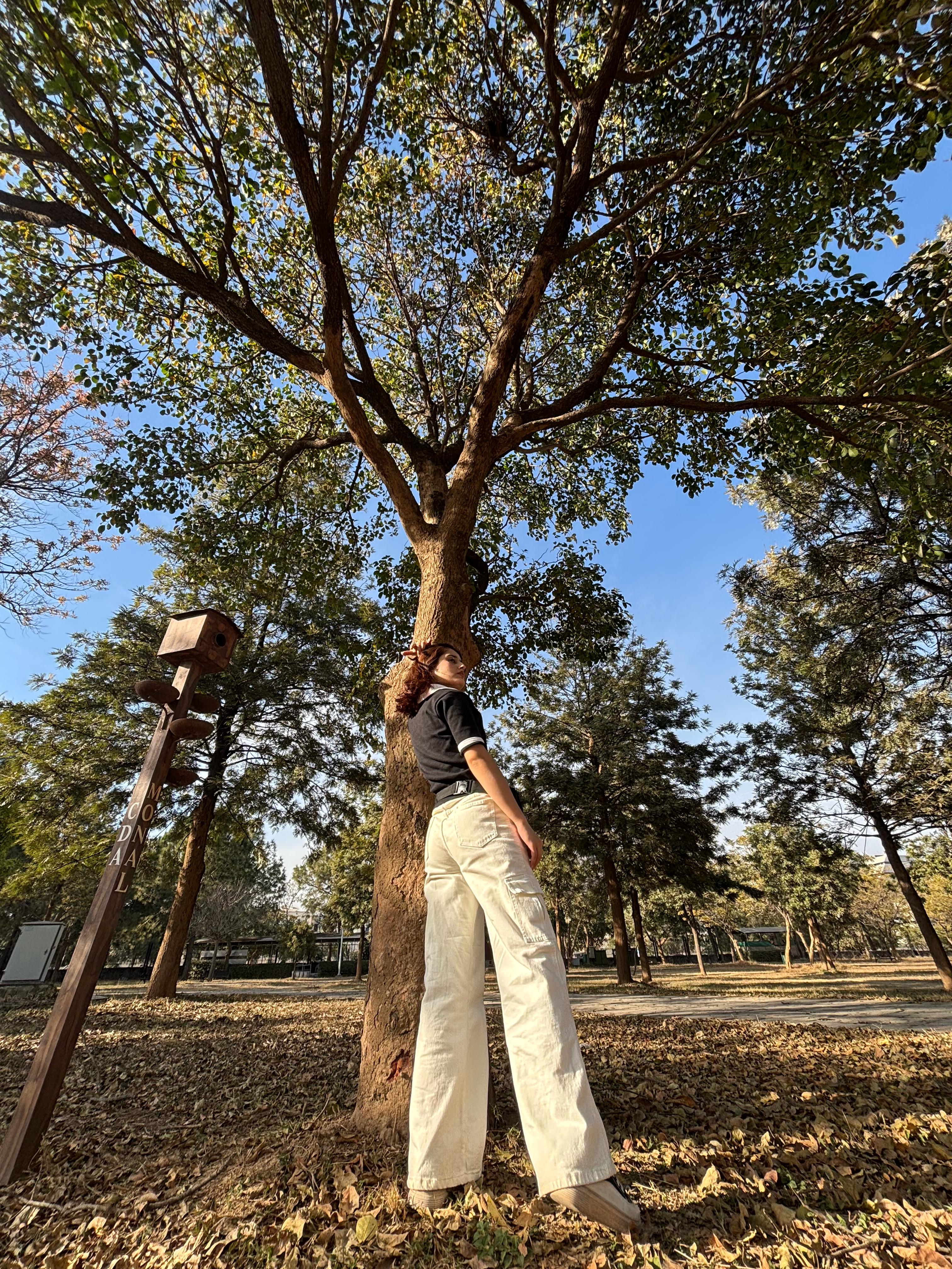 Off White Wide Leg Cargo